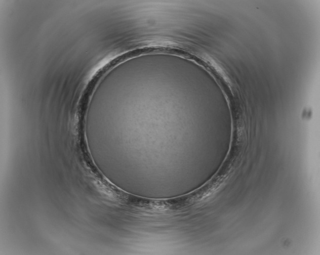 X0000093510975200710261153