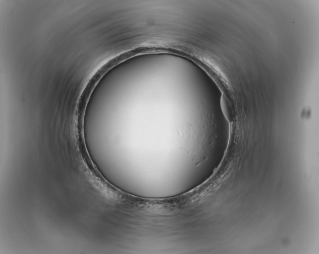 X0000093510976200710261153