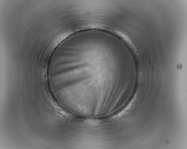 X0000093510977200710261153