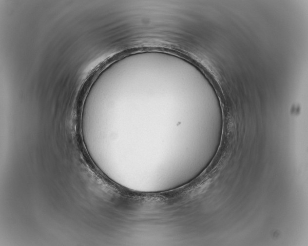 X0000093510979200710261153