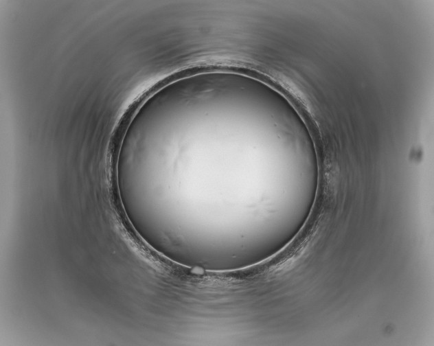 X0000093510981200710261153