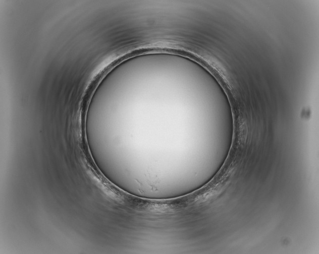 X0000093510982200710261153
