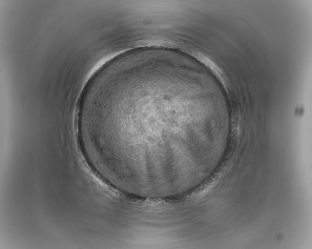 X0000093510983200710261153
