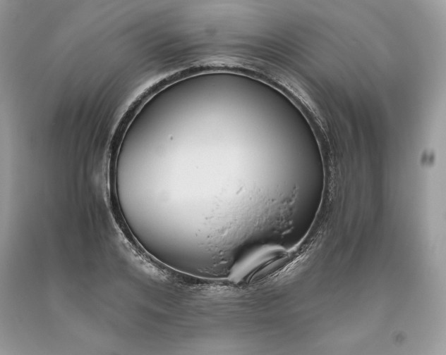 X0000093510984200710261153
