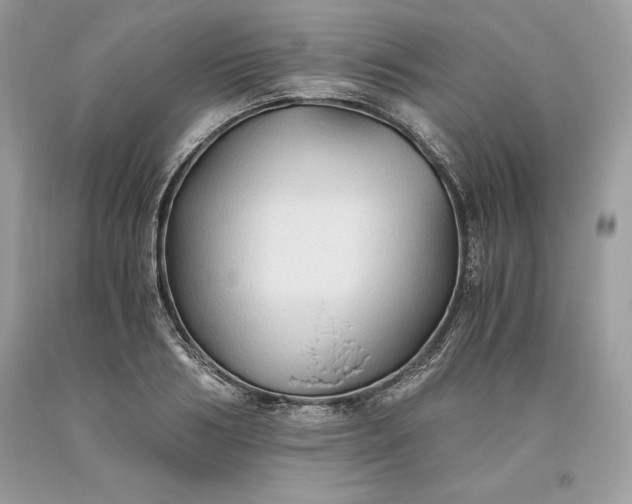X0000093510986200710261153
