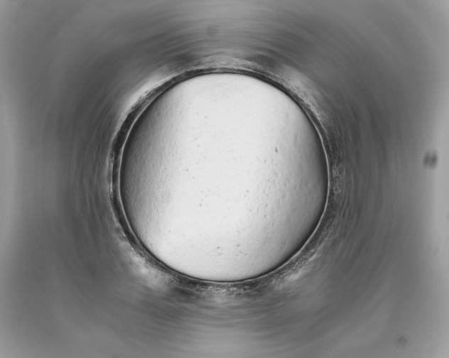 X0000093510987200710261153