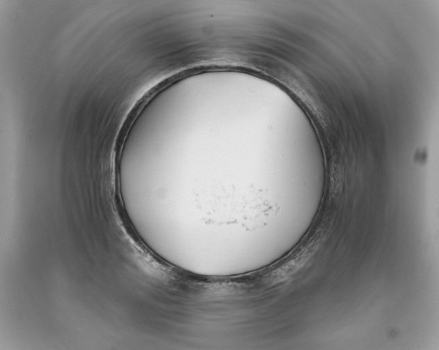 X0000093510988200710261153