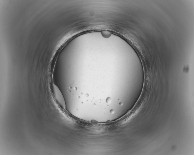 X0000093510989200710261153