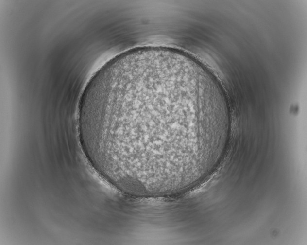 X0000093510990200710261153