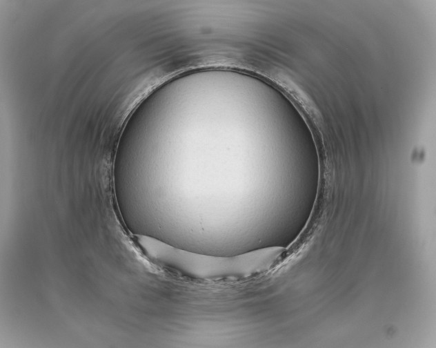X0000093510993200710261153