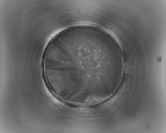 X0000093510995200710261153