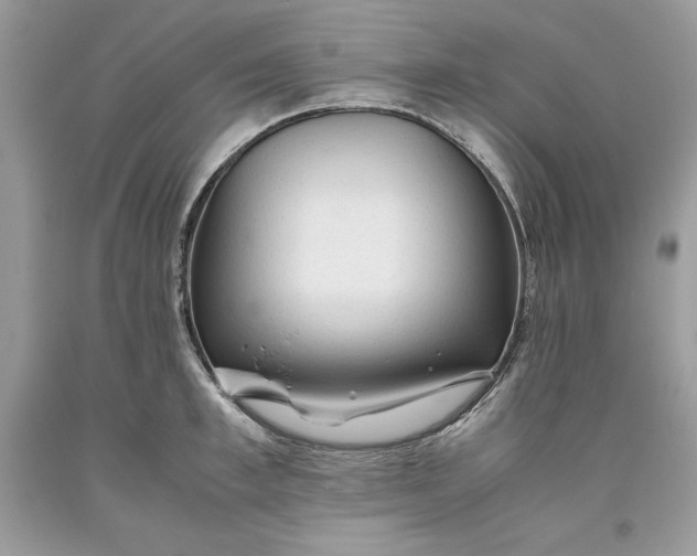 X0000093510997200710261153