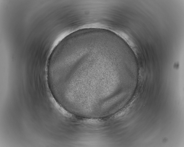 X0000093510998200710261153