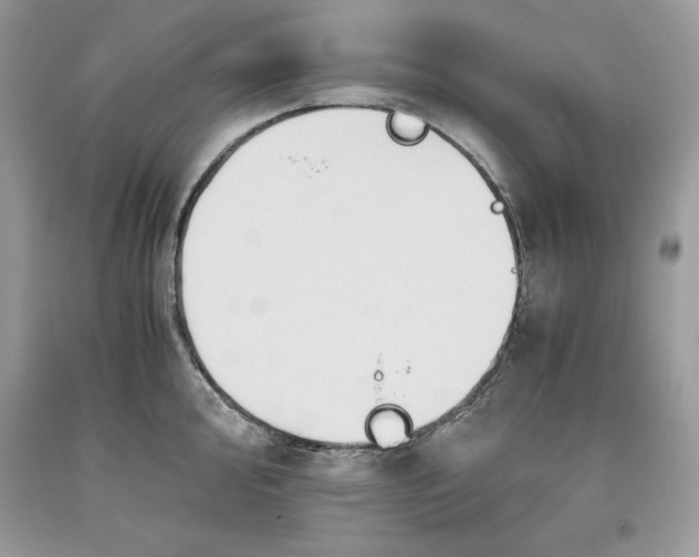 X0000093511000200710261153