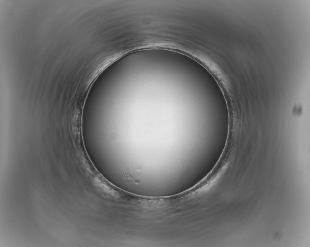 X0000093511001200710261153