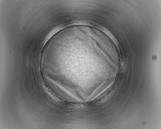 X0000093511002200710261153