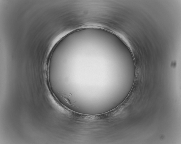 X0000093511003200710261153