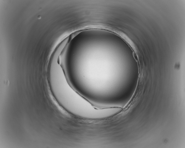 X0000093511005200710261153