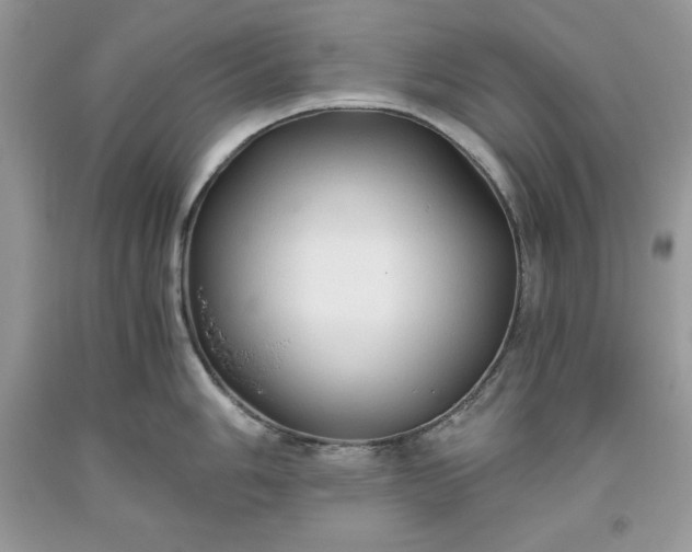 X0000093511006200710261153