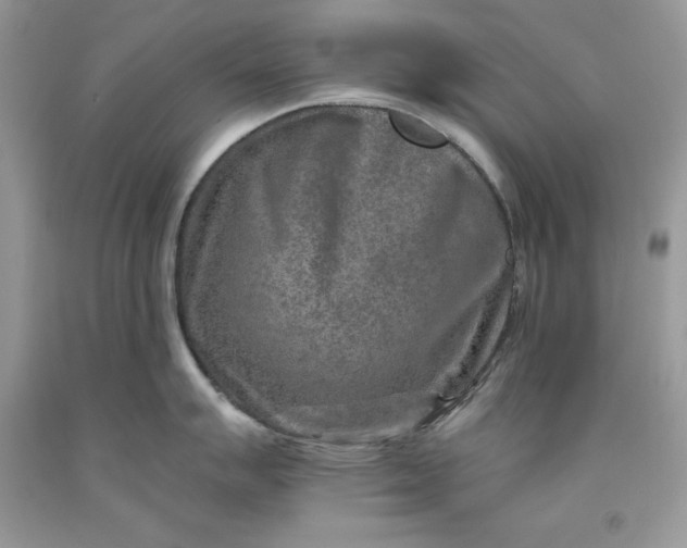 X0000093511007200710261153