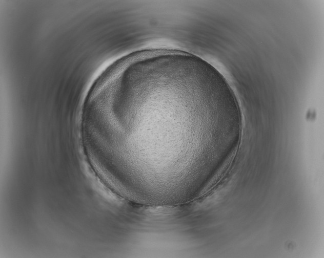 X0000093511008200710261153