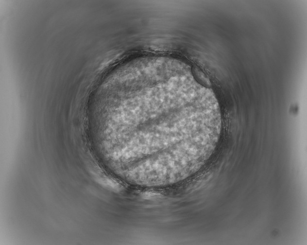 X0000093511009200710261152