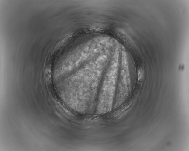X0000093511011200710261152