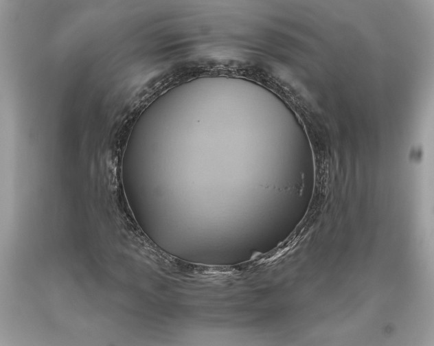 X0000093511013200710261152