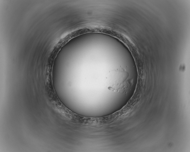 X0000093511016200710261152