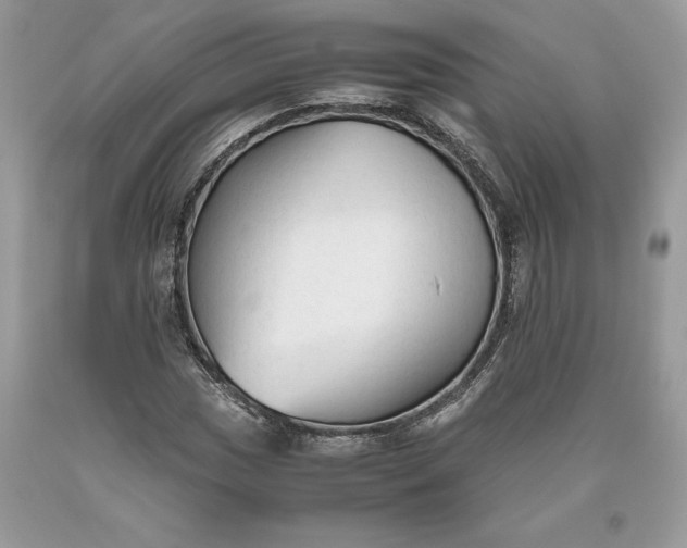 X0000093511017200710261152