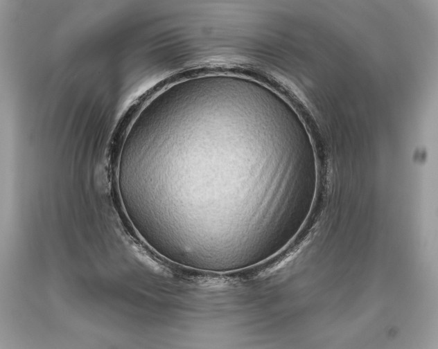 X0000093511018200710261152