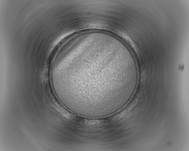 X0000093511019200710261152