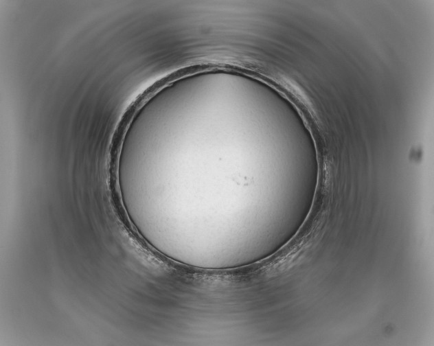 X0000093511020200710261152