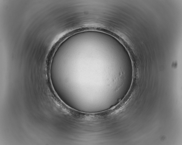 X0000093511022200710261152