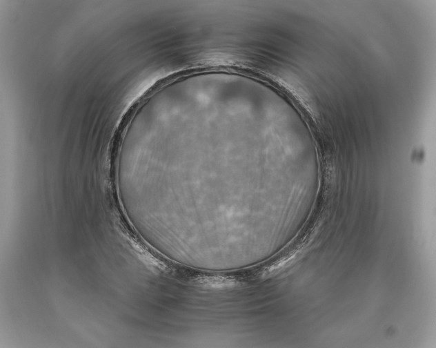 X0000093511023200710261152