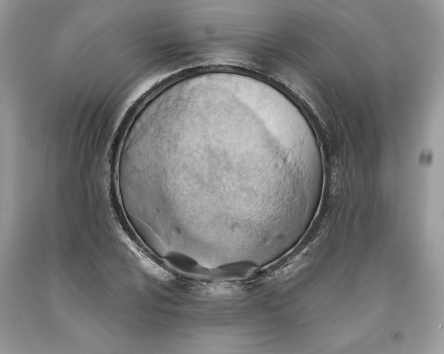 X0000093511024200710261152