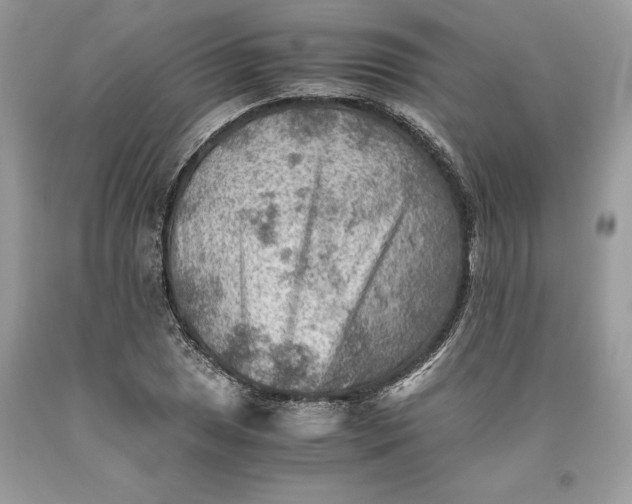 X0000093511025200710261152