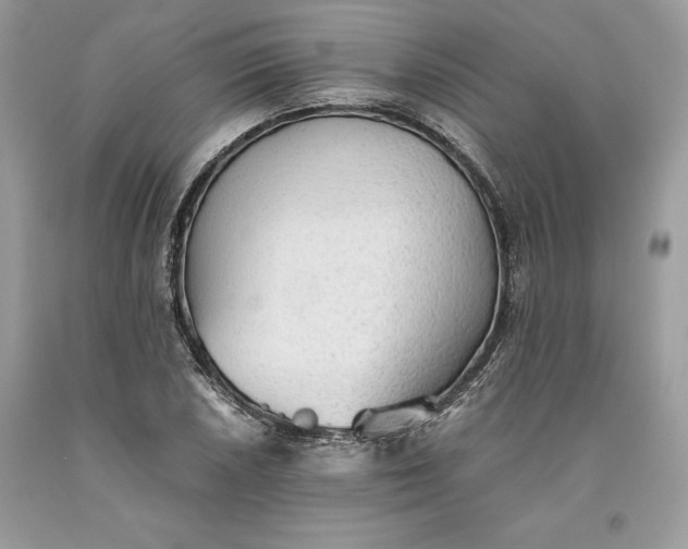 X0000093511026200710261152