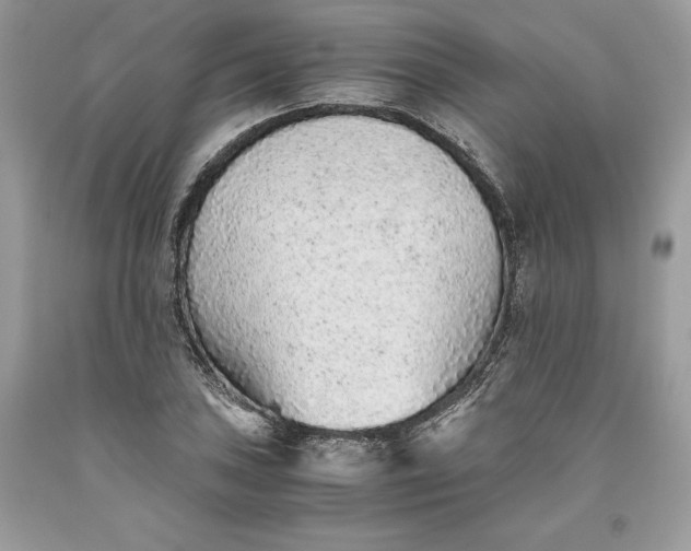 X0000093511027200710261152