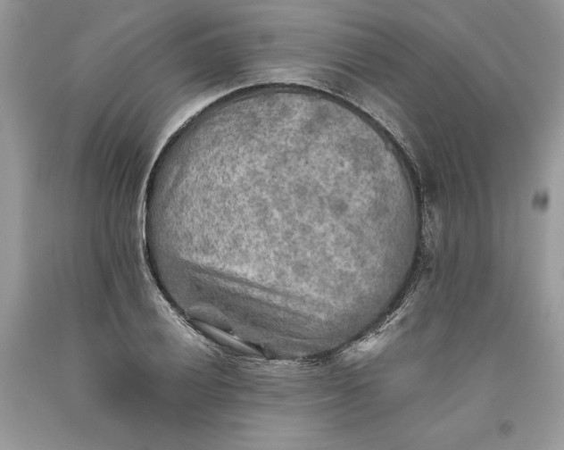 X0000093511028200710261152