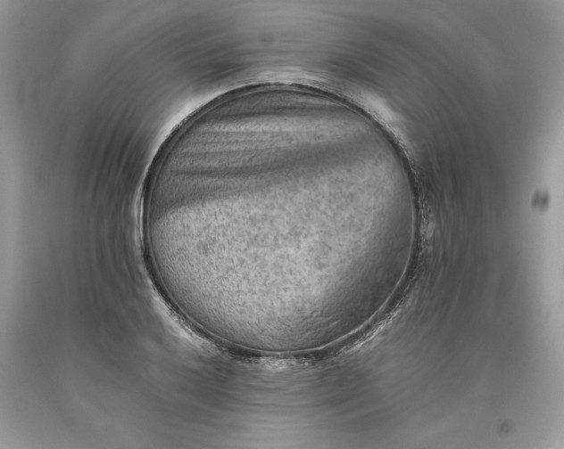 X0000093511032200710261153
