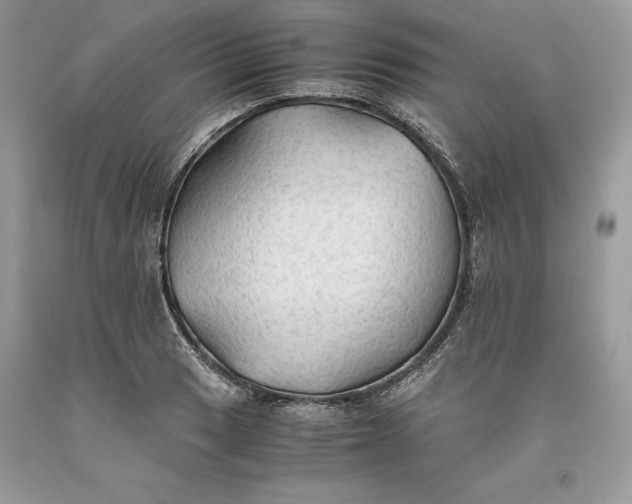 X0000093511033200710261153