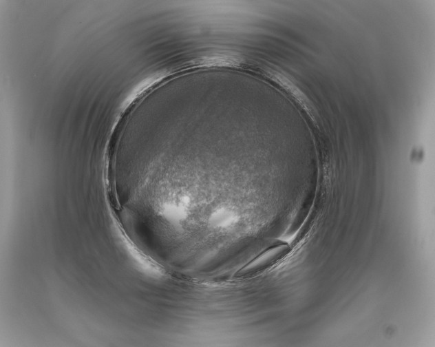 X0000093511034200710261153