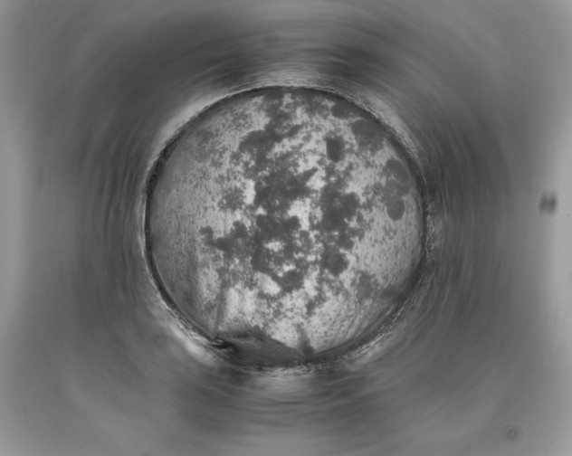 X0000093511035200710261153