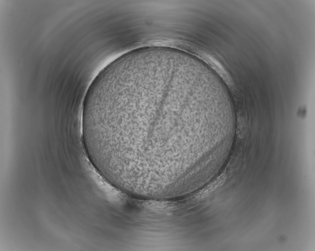 X0000093511036200710261153
