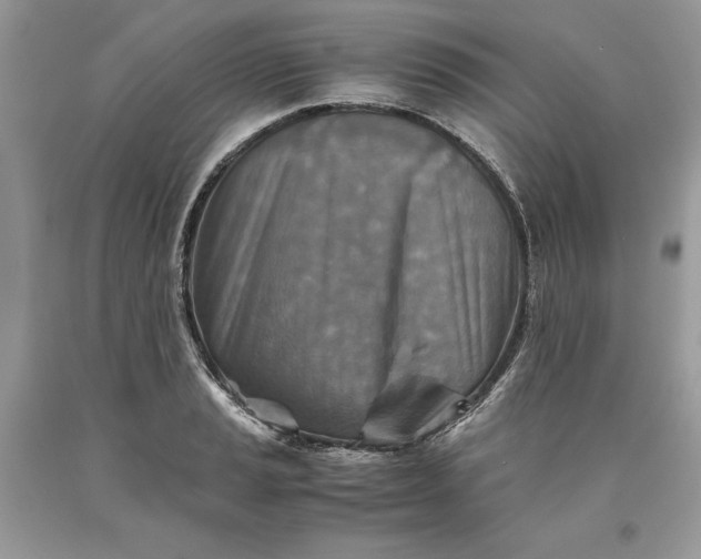 X0000093511037200710261153