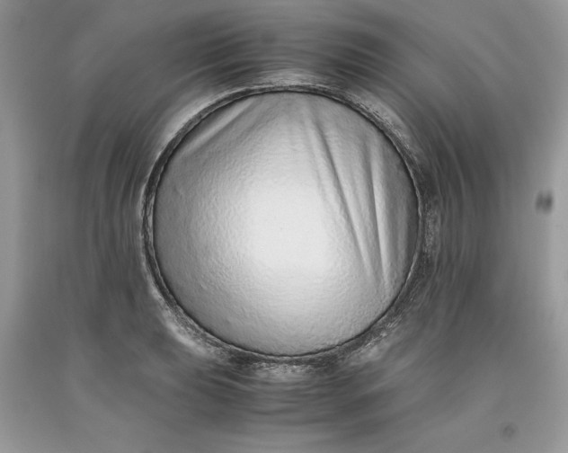 X0000093511039200710261153