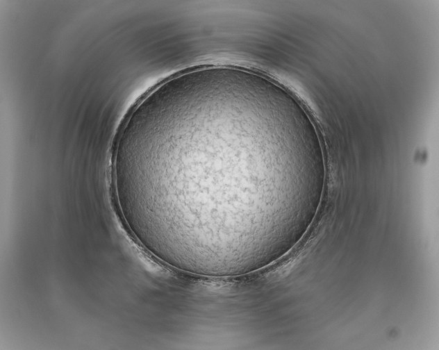 X0000093511040200710261153