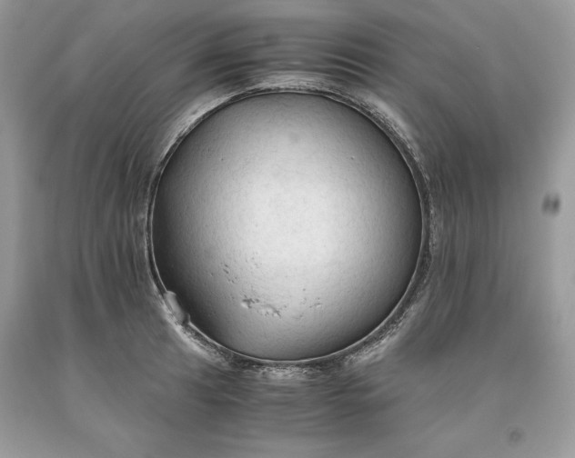 X0000093511041200710261153