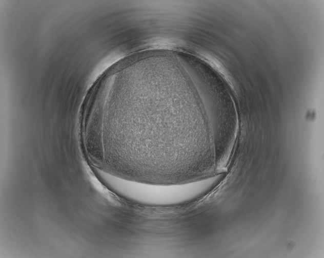 X0000093511042200710261153